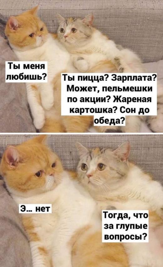 Мем без подписи