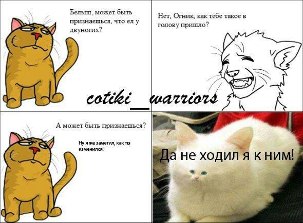 не, ну это уже не белыш, А БЕЛЯШ