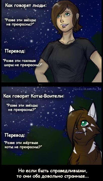 Мем без подписи
