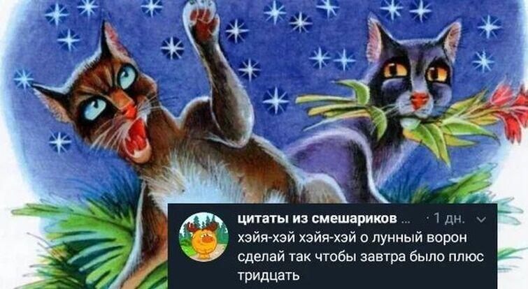 Мем от Мемы по Котам-Воителям