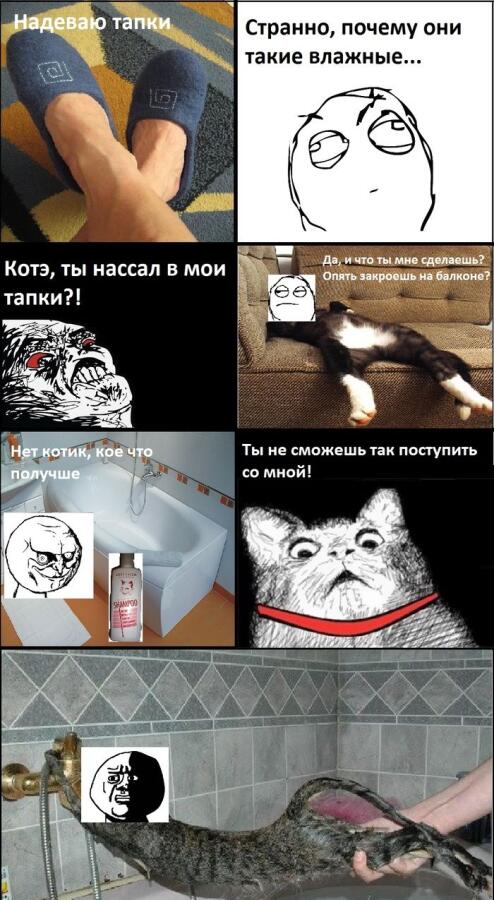 Мем от Коты + мемы=мемы с котами
