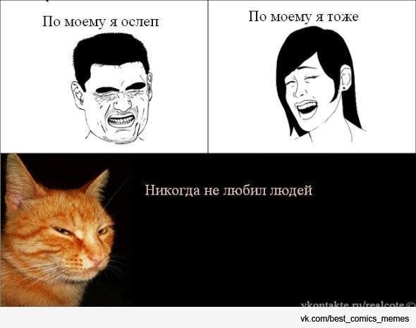 Мем от Коты + мемы=мемы с котами