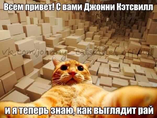Вот и мемы