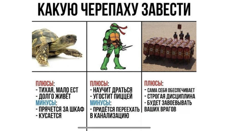 Мем без подписи