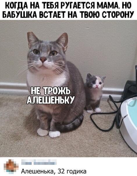 Мем без подписи