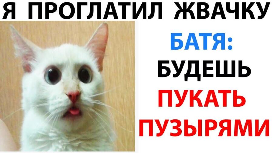 мем