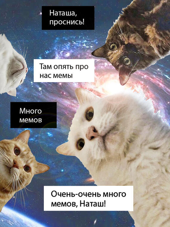 Мем про Наташу