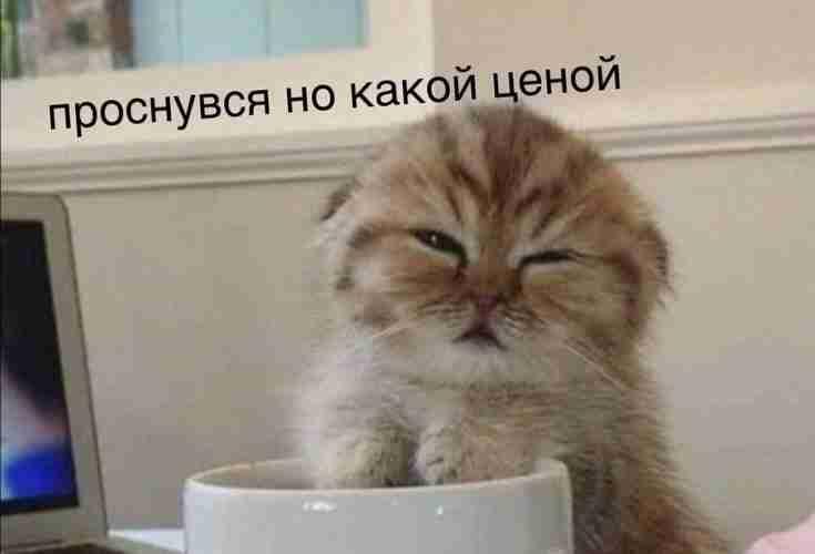 Мем от Mish0k [ПЛМ]