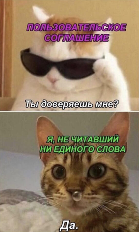 Подборка мемов с котиками #3