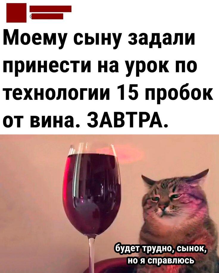 Всех со вторником, мои чуваки до среды остался один день, держитесь✊