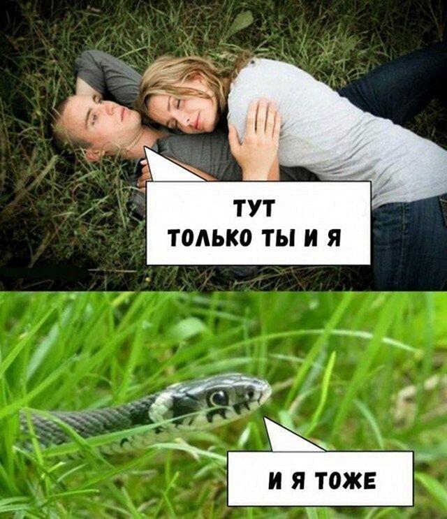 ХАХ
