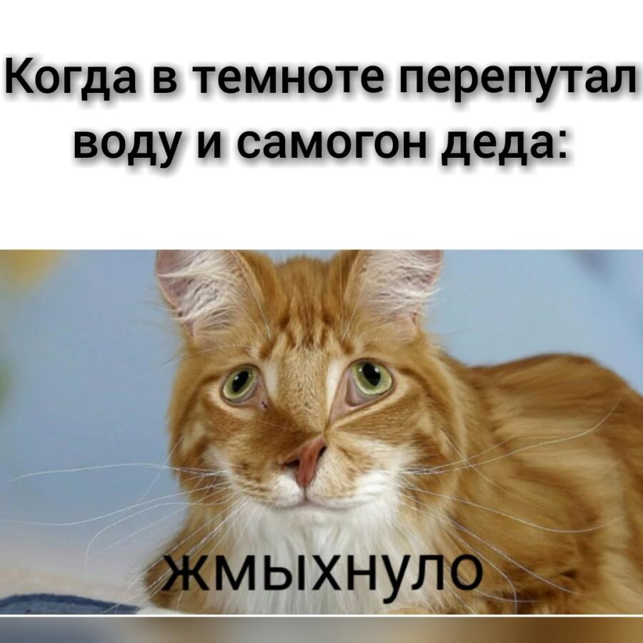 Мем без подписи