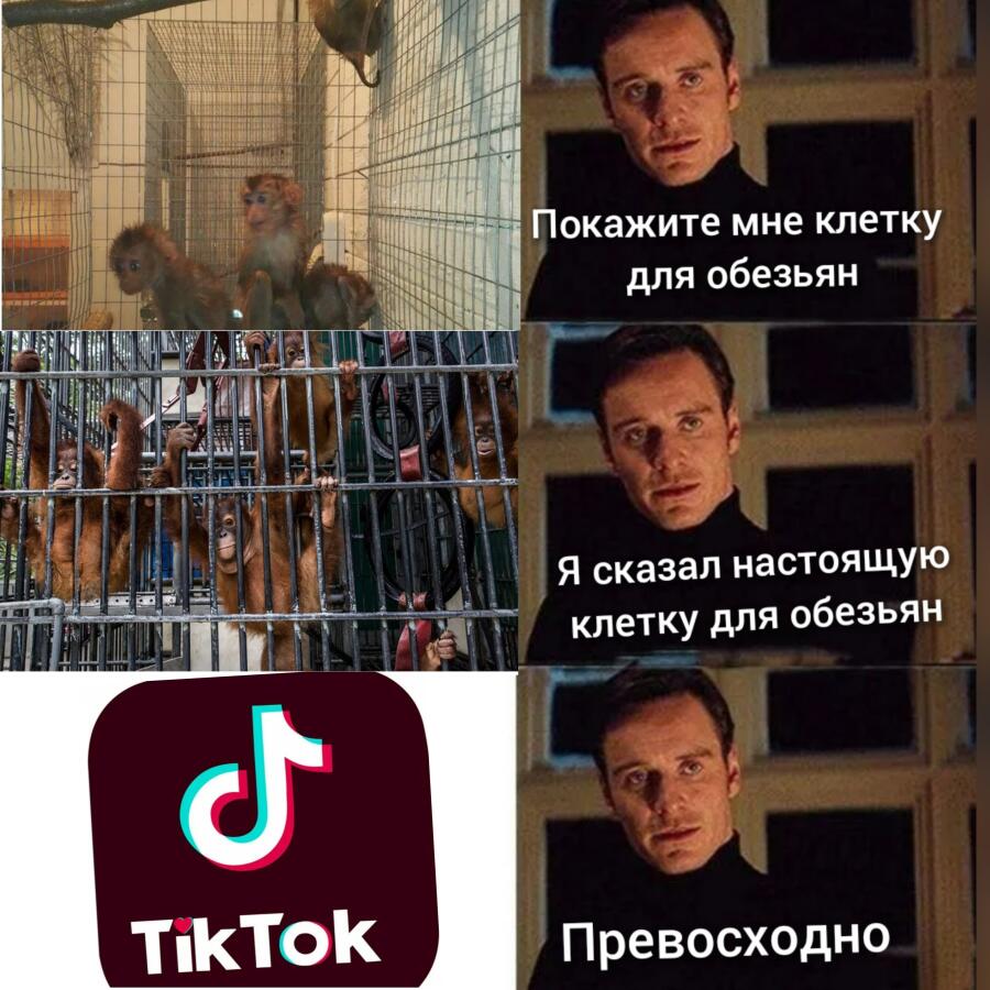 Извините если вы фанат тик тока, это моё мнение