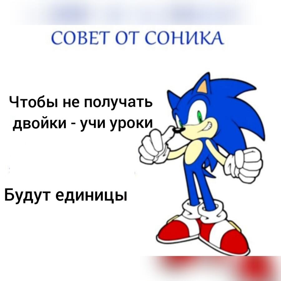 Соник плохого не посоветует...