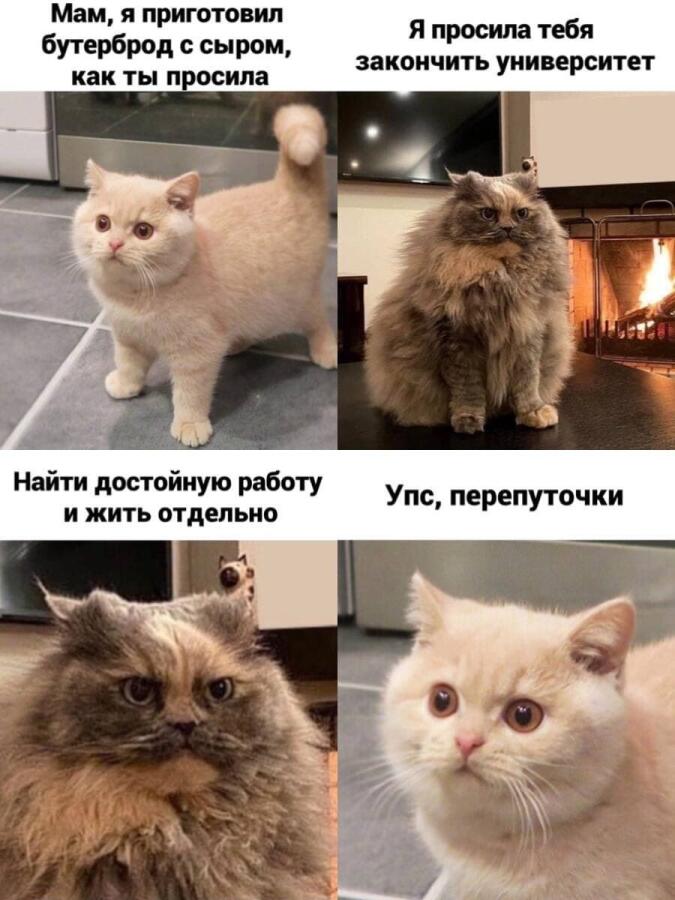 Вотето он попутал...