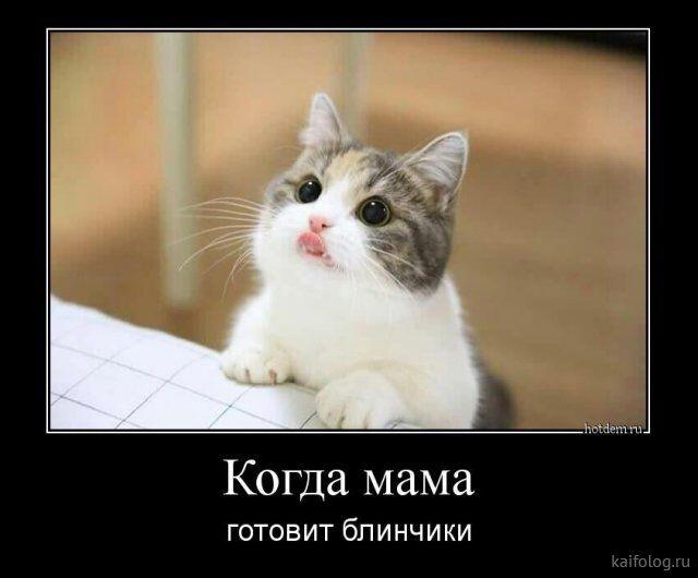 Любите блиньчики?)
