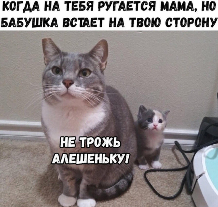Мемасик))