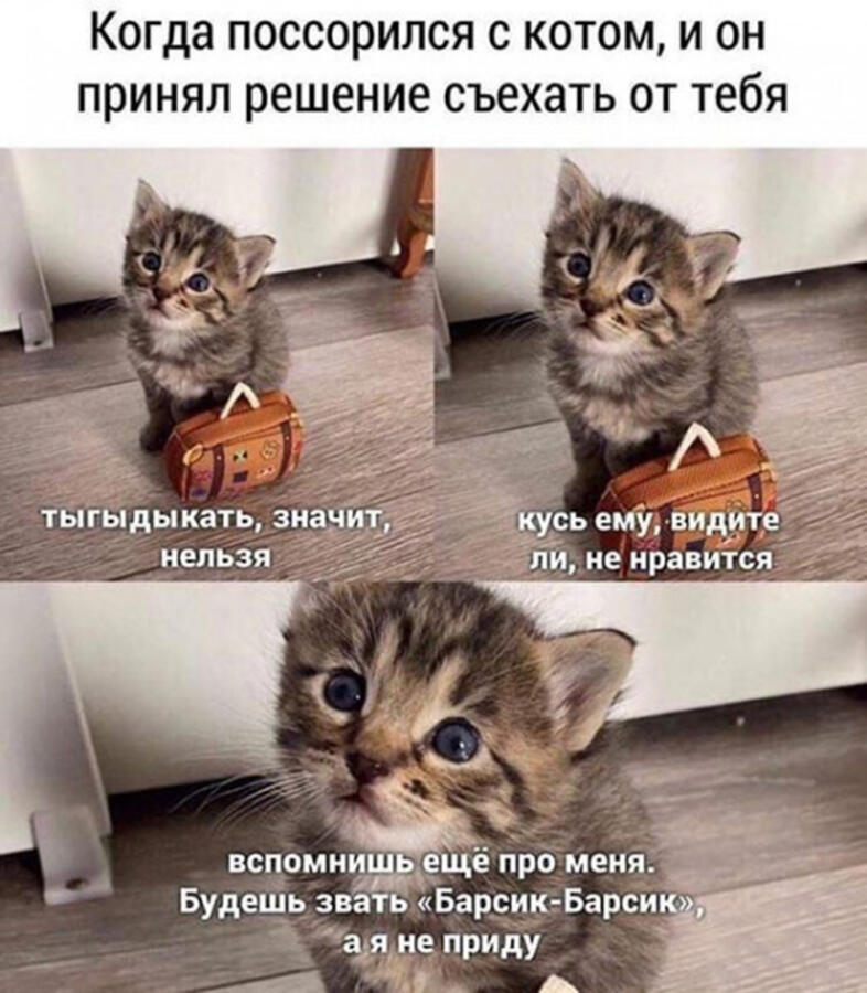Спасибо за 5 подписчиков!  Довайте 10 пожалустья))