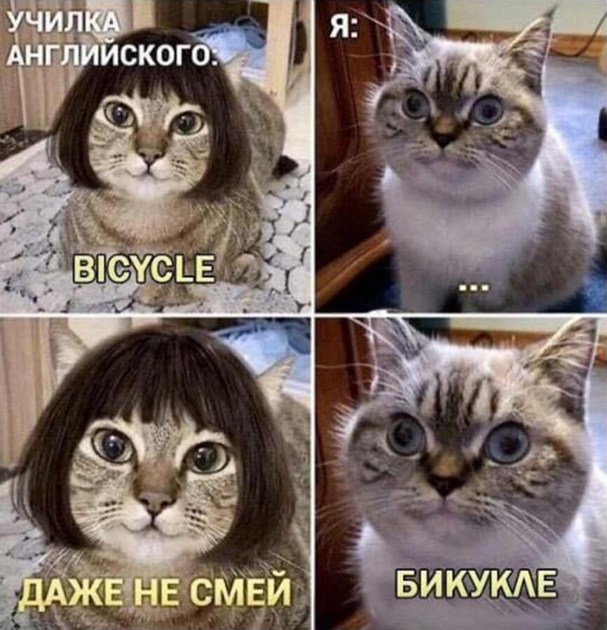 Ты учиш англиский??)