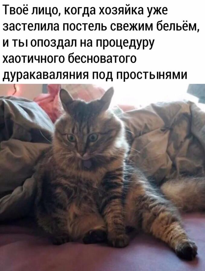Довайте дойдем до цели 46 подписчиков, чтобы попасть в топ 10 пользователей по подписчикам!)?