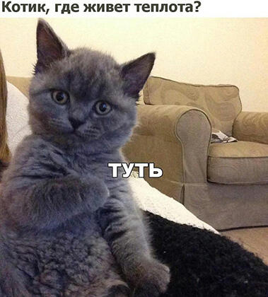 Мем от Котик Барсик