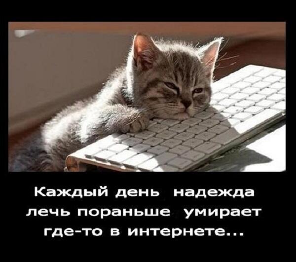 Мем от Котик Барсик