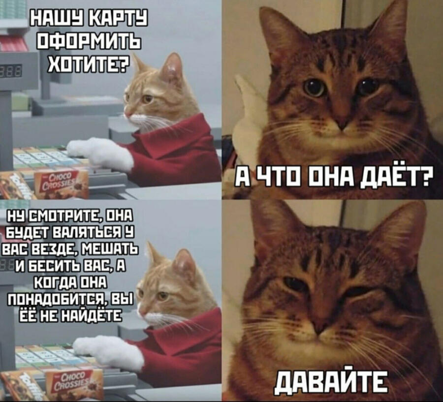 Мем от Котик Барсик