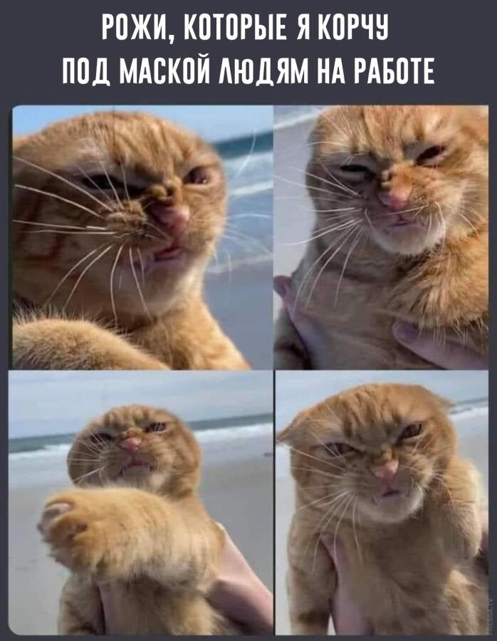Мемсик