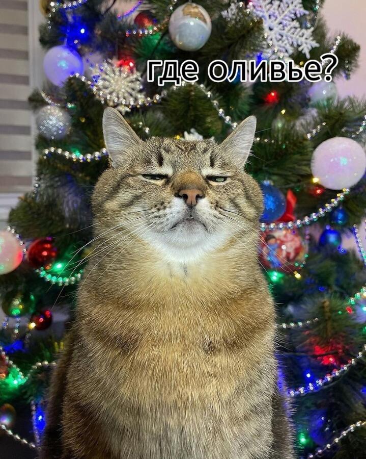 Осень: начинается 
Моё новогоднее настроение: