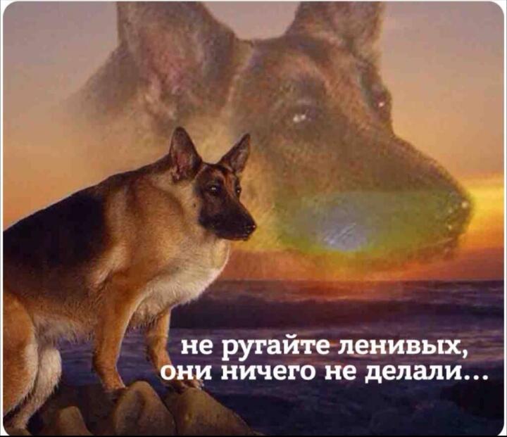 Мама:ругает что я ленивый 
Я:
