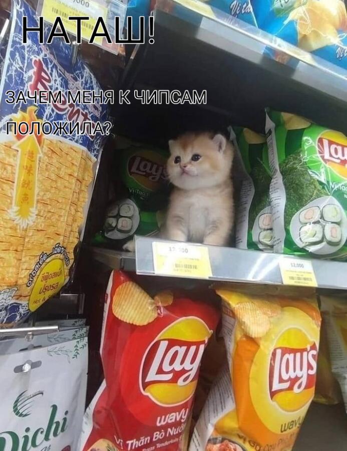 Мем от Древесина