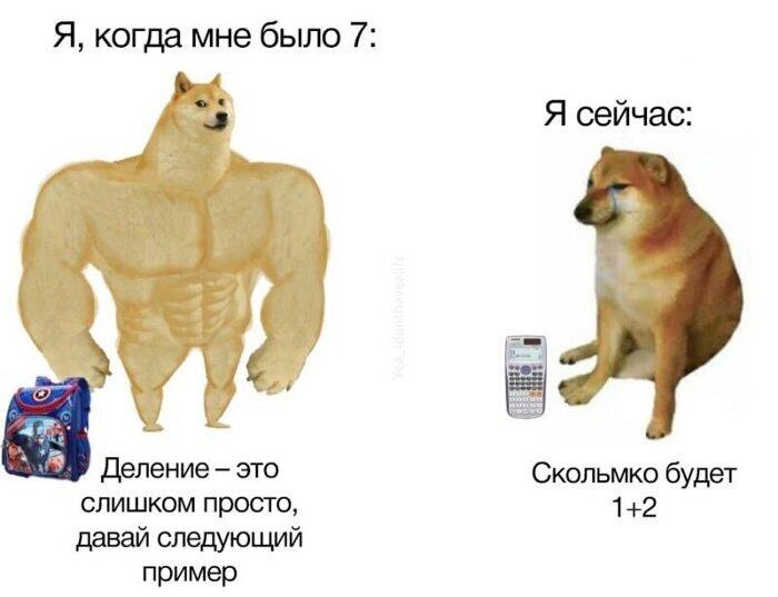 ну,да ну,да жиза