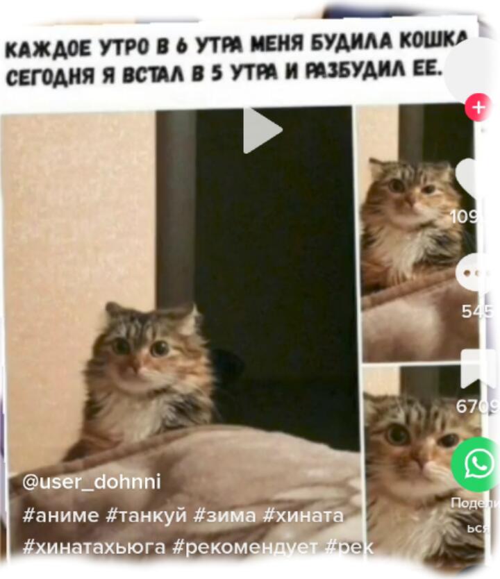Мем от Maksim_kartsov-16