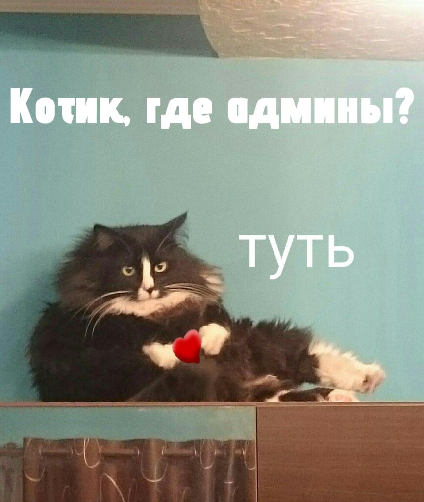 Совсем забыл, пост посвящается админам сайта, которые помогли мне с подтверждением аккаунта.
Огромное вам спасибо!