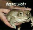 Я вернулься!!!