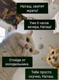 Мем от Kote