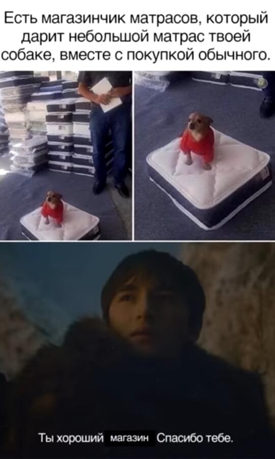 Мем от Kote