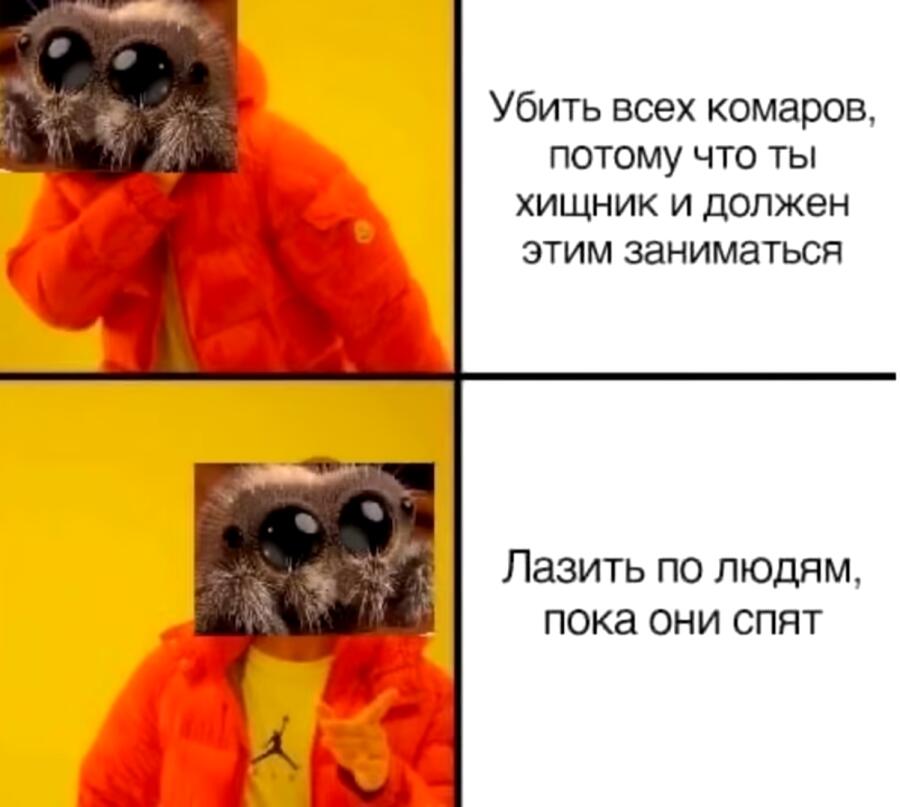 Мем от Kote