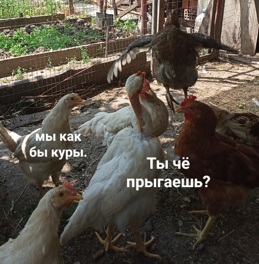 Мем