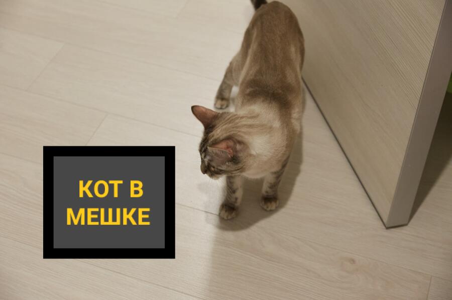 Через 3 дня выложу оригинал. Свои догадки писать в комментариях.