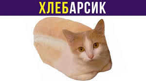 Мем от wisetree2939