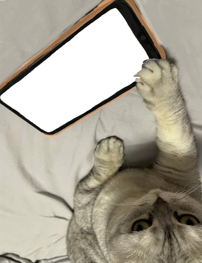Это я весь вчерашний вечер и ночь: