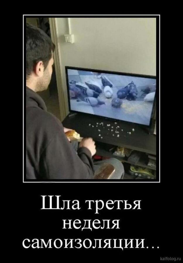 Знаю уже поздно, но...ВОТ