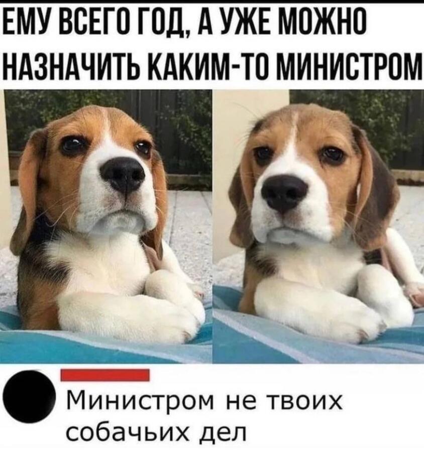 Мем от FORELKA