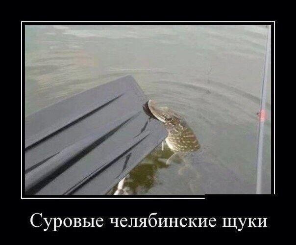 Нет слов, ахахаха