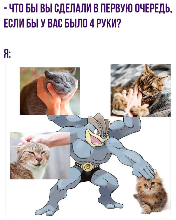 Мем без подписи