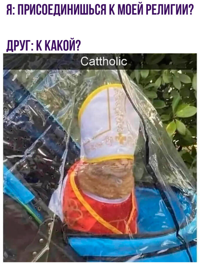 Мем без подписи