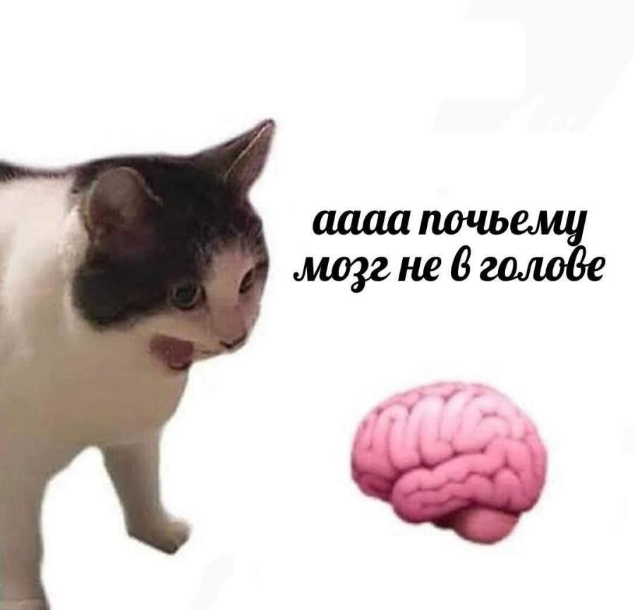 посему..?