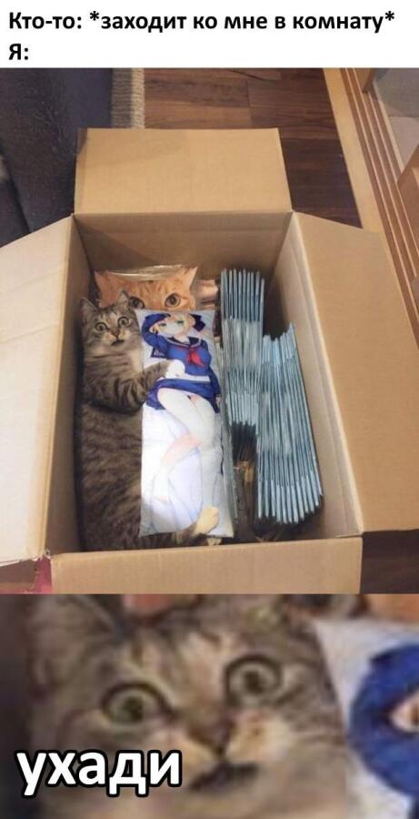 жиза..