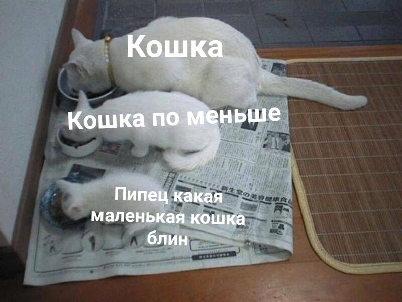 Время для реально умных мемов)